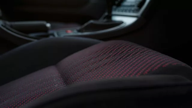 pecca leather fabric